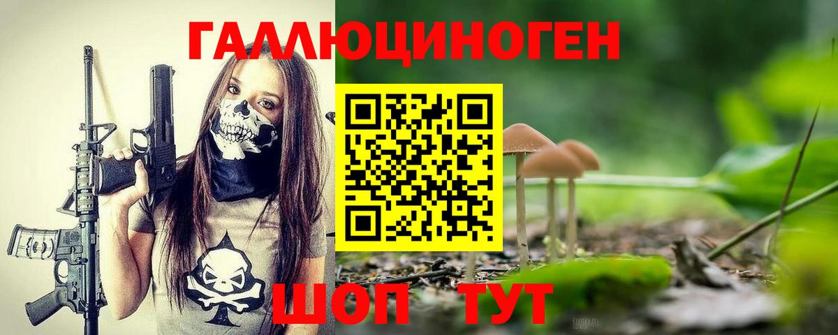 Псилоцибиновые грибы мухоморы  где найти наркотики  Усть-Кут  Вход с VPN  Галлюциногенные грибы мухоморы 